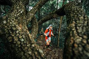 BIB: 
                            <button type="button" onclick="openModal(25393561)" class="btn btn-primary btn-sm float-right btn-popup" data-toggle="modal" data-target=".modal-high-quality">
                        <i class="fas fa-shopping-cart"></i> Add to Cart
                    </button>
                                            <button type="button" onclick="isThisMe(25393561, true)" class="btn btn-success btn-sm float-right btn-popup btn-isme hidden" data-toggle="tooltip" data-placement="bottom" title="นี่คือรูปของคุณใช่ไหม คลิกที่นี่เพื่อเอาเข้าอัลบั้ม">
                        <i class="fas fa-plus"></i> Add to album
                    </button>
                    <button type="button" onclick="isThisMe(25393561, false)" class="btn btn-warning btn-sm float-right btn-popup btn-isnotme hidden">
                        <i class="fas fa-ban"></i> Remove from album
                    </button>